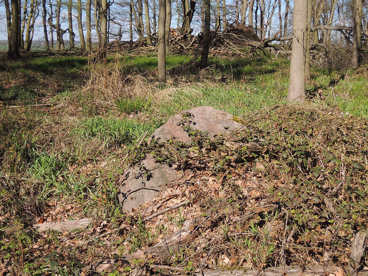 Remains of the megalithic tomb EMD 44