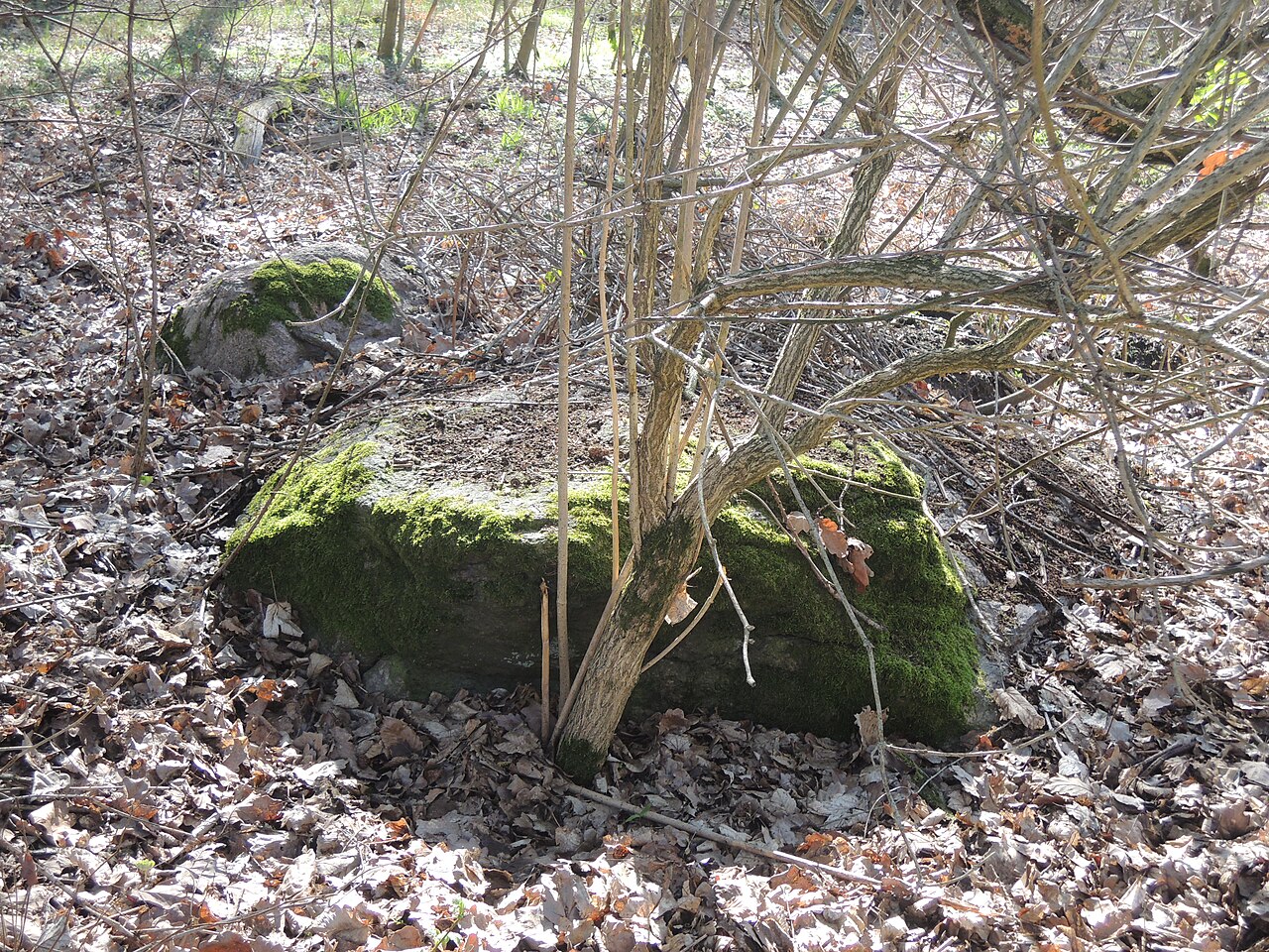 Remains of the megalithic tomb EMD 45