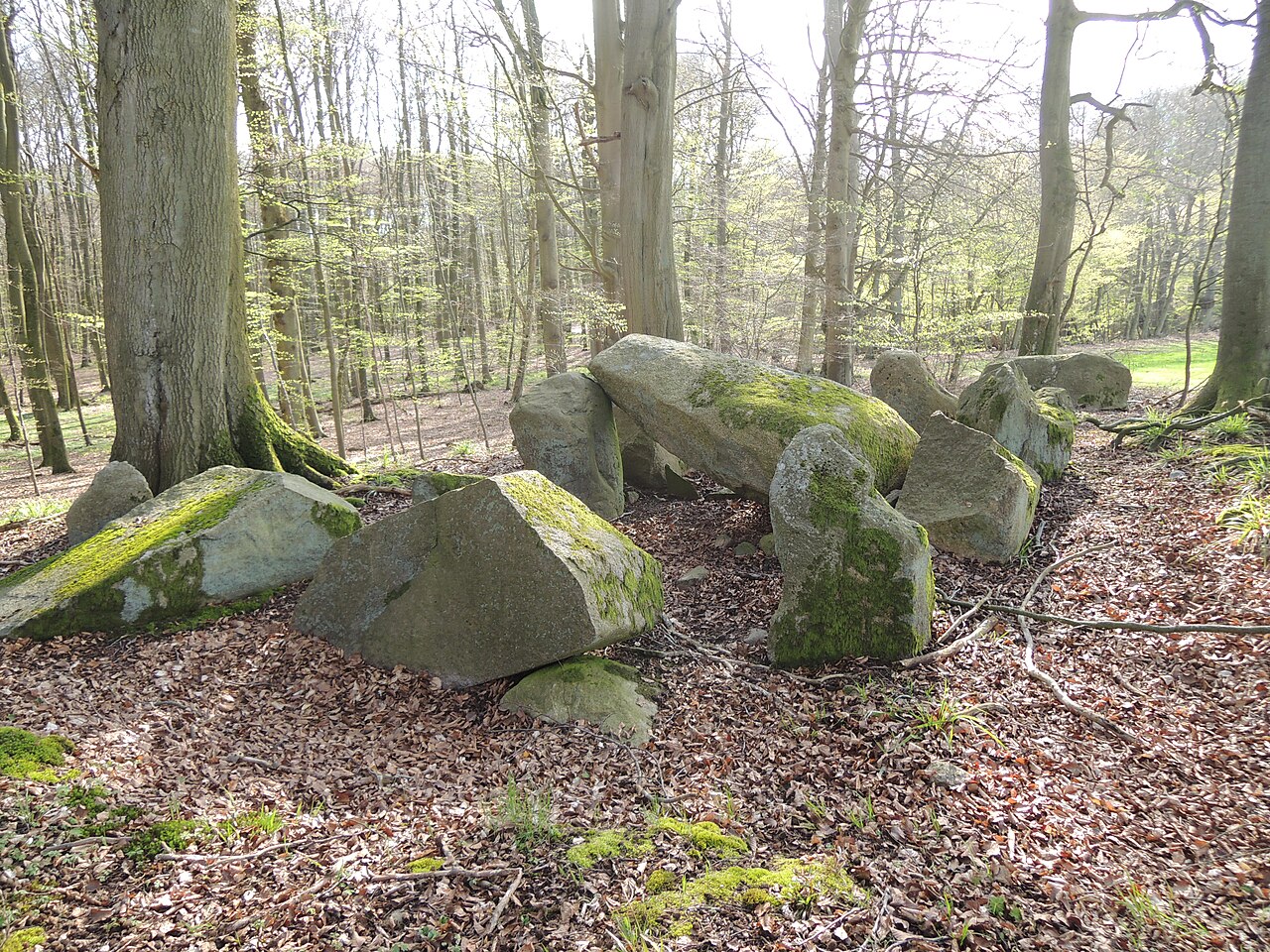The megalithic tomb Forst Tarnow 1, also called Großsteingrab Herrenholz 1 and Hohe Nonne