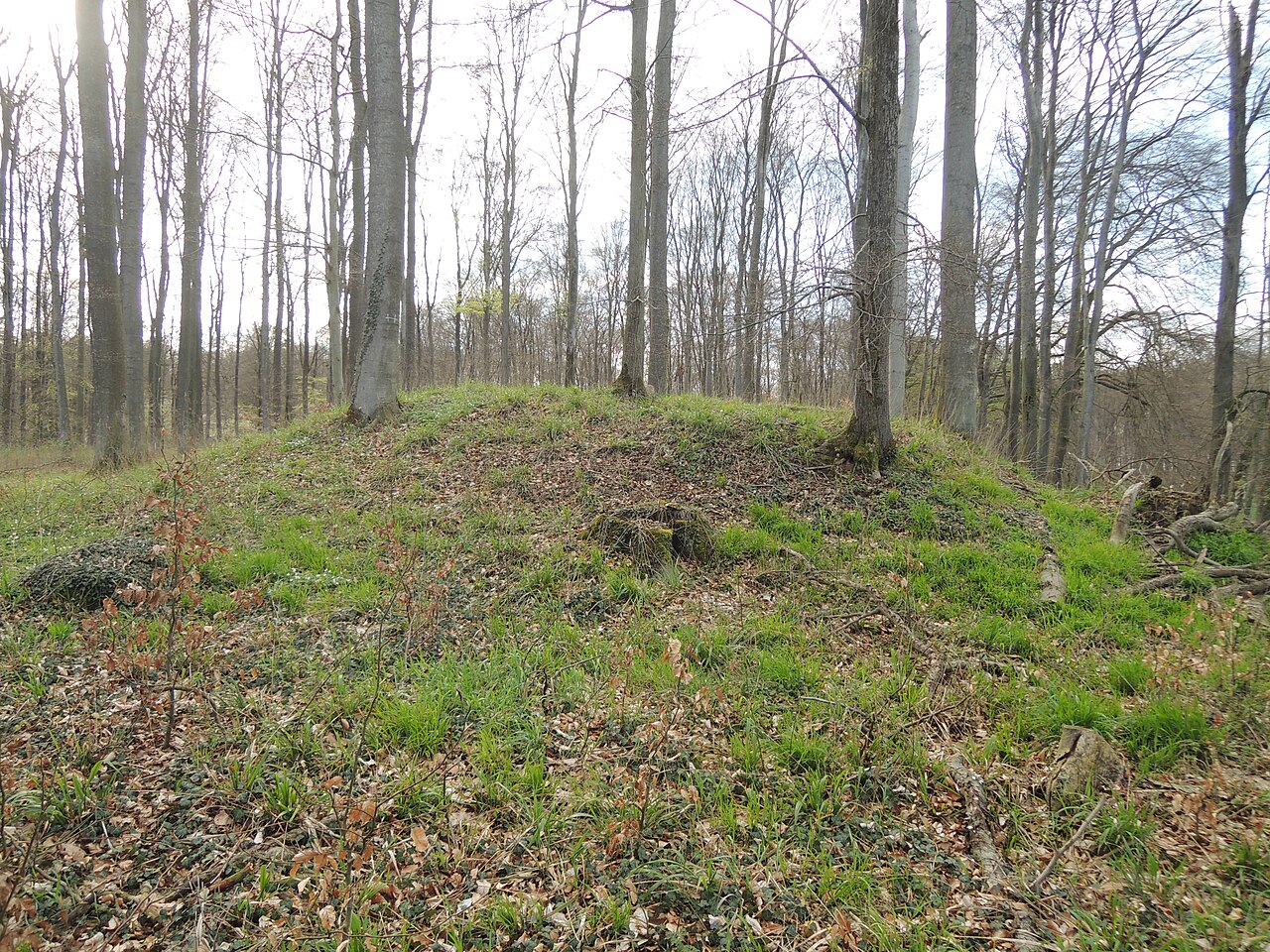 Remains of the megalithic tomb Forst Tarnow 2, also called Großsteingrab Herrenholz 2