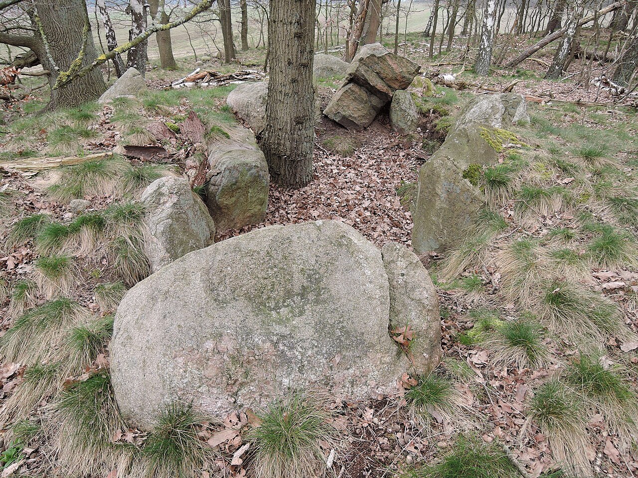 The megalithic tomb Gohlau 2