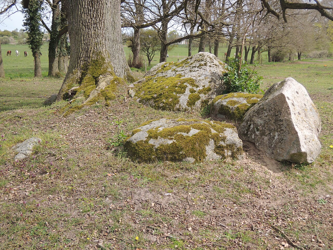 The megalithic tomb Goritz 1