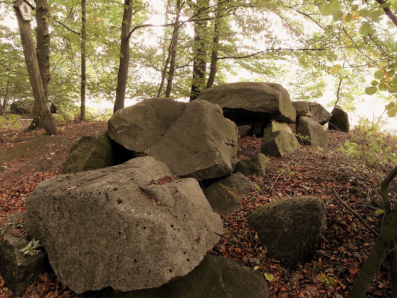 Megalithic tomb "Grambergen 1"
