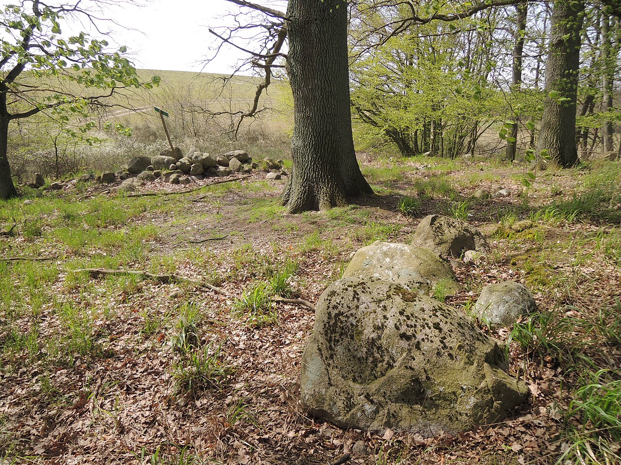 Probable remains of the megalithic tomb Groß Ridsenow