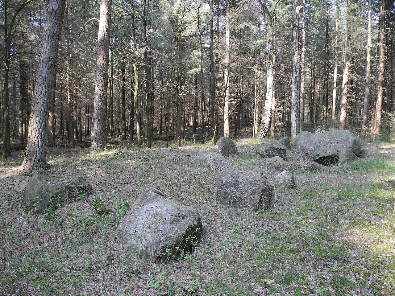 Megalithic tomb "Grumfeld Ost" (Westerholte, district Osnabrück, Lower Saxony, Germany)