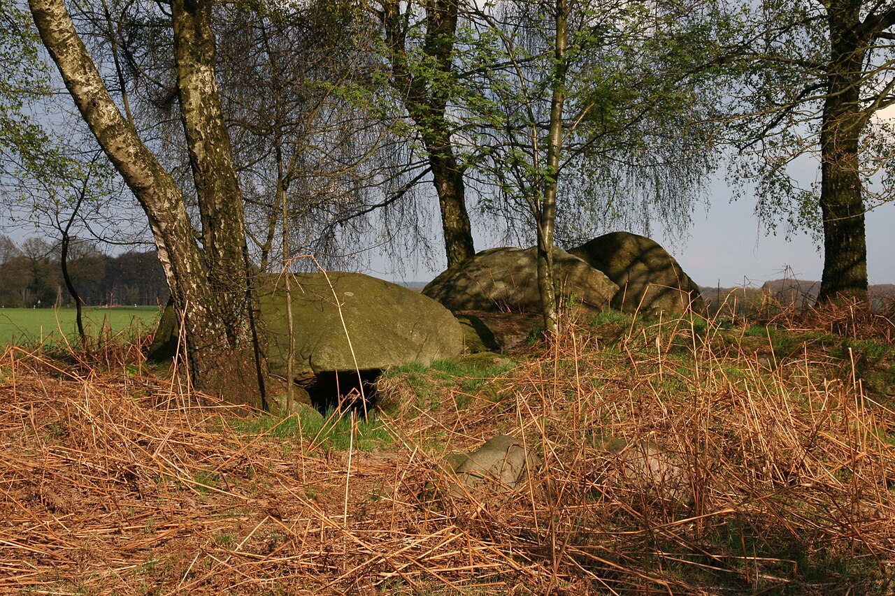 Ostercappeln: megalithic chambered tomb Dübberort I