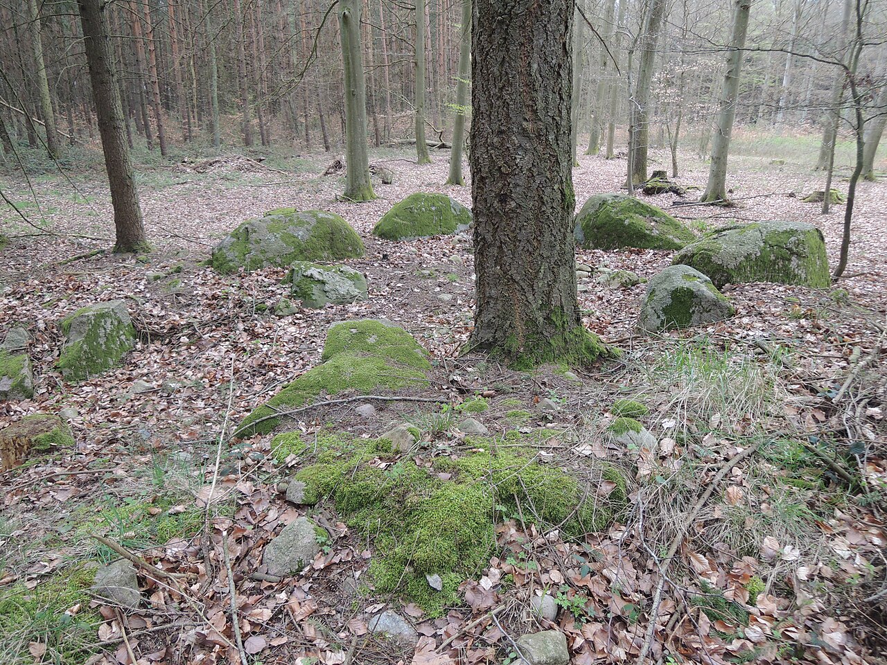 The megalithic tomb Hallalit in Germany