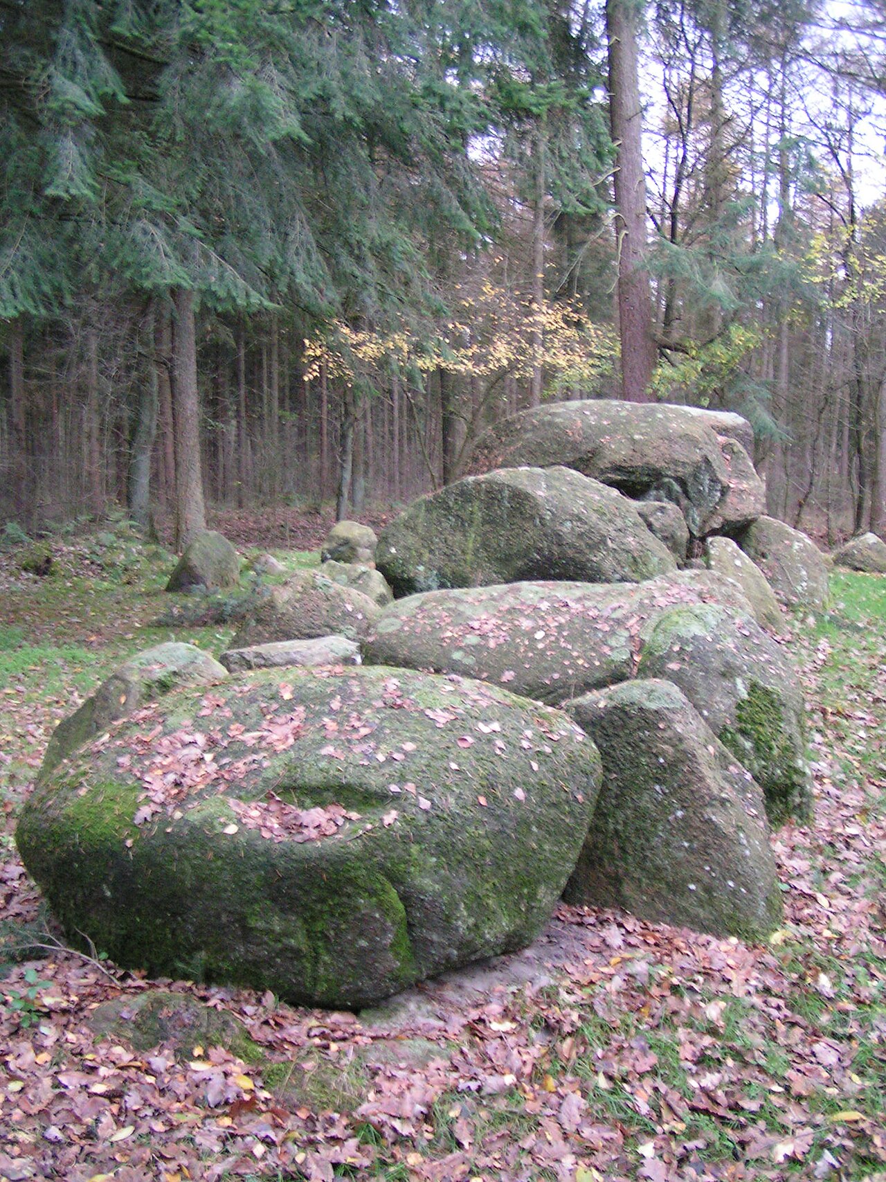 Großsteingrab "Hohe Steine" bei Wildeshausen Sprockhoff-Nr 956