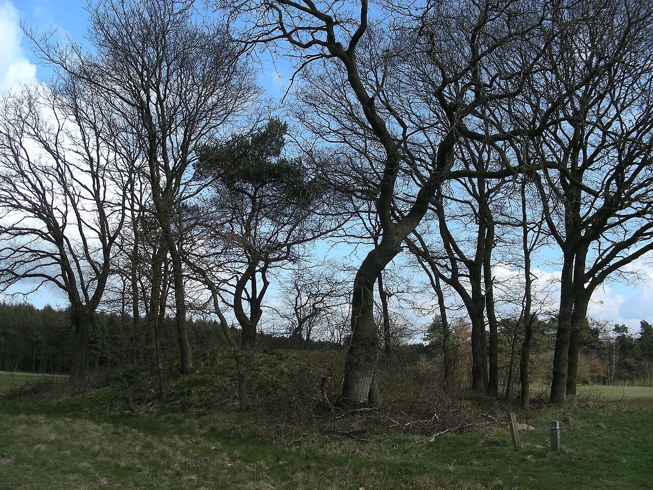 Grabhügel (barrow)