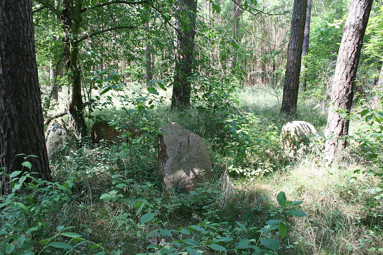 Megalithic tomb Hundisburg 16