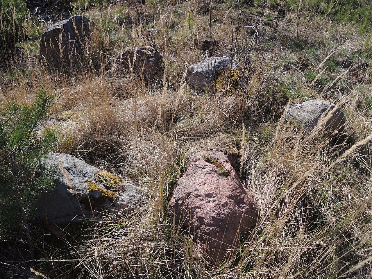 The megalithic tomb HUN 17 in Haldensleber Forst