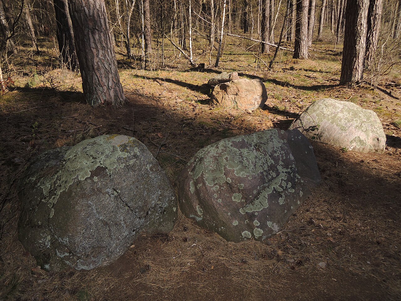 The megalithic tomb HUN 18 in Haldensleber Forst