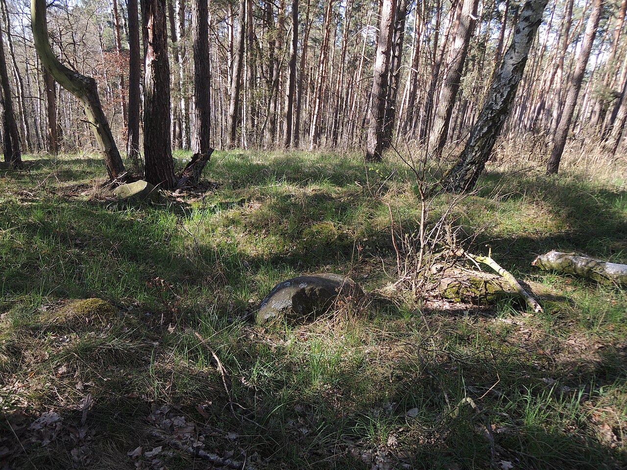 The megalithic tomb Großsteingrab HUN 19