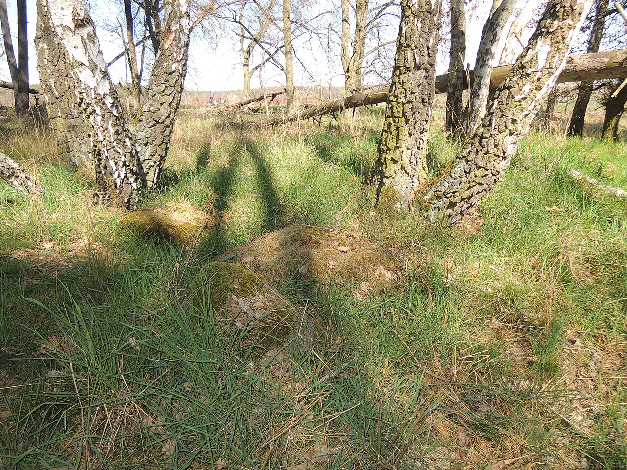 The megalithic tomb HUN 22 in Haldensleber Forst