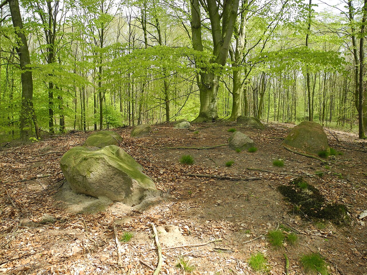 Megalithic tomb "Fuhrenkamp 1" (district Cloppenburg, Lower Saxony, Germany)