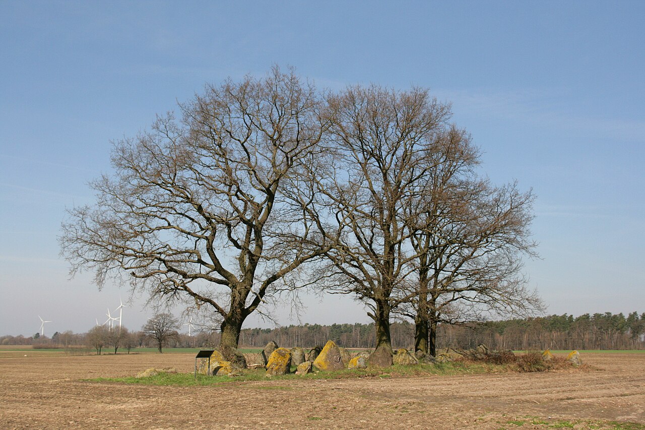 Großsteingrab Kahlstorf in Wrestedt