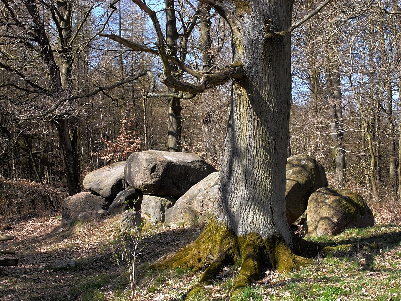 Hünengrab bei Klein Görnow