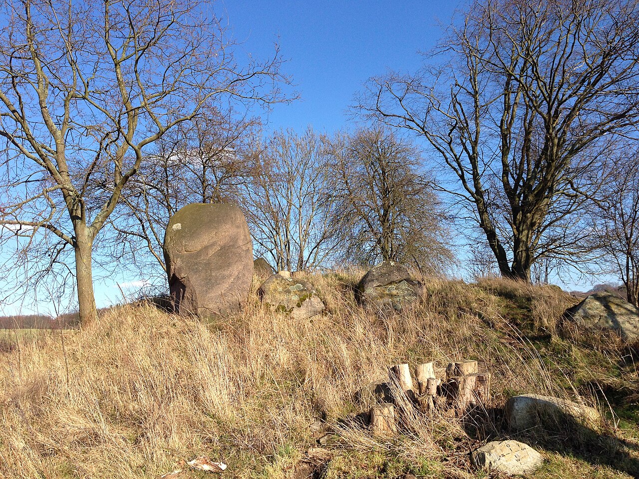 Dolmen in Kritzow (Langen Brütz), district Ludwigslust-Parchim, Mecklenburg-Vorpommern, Germany