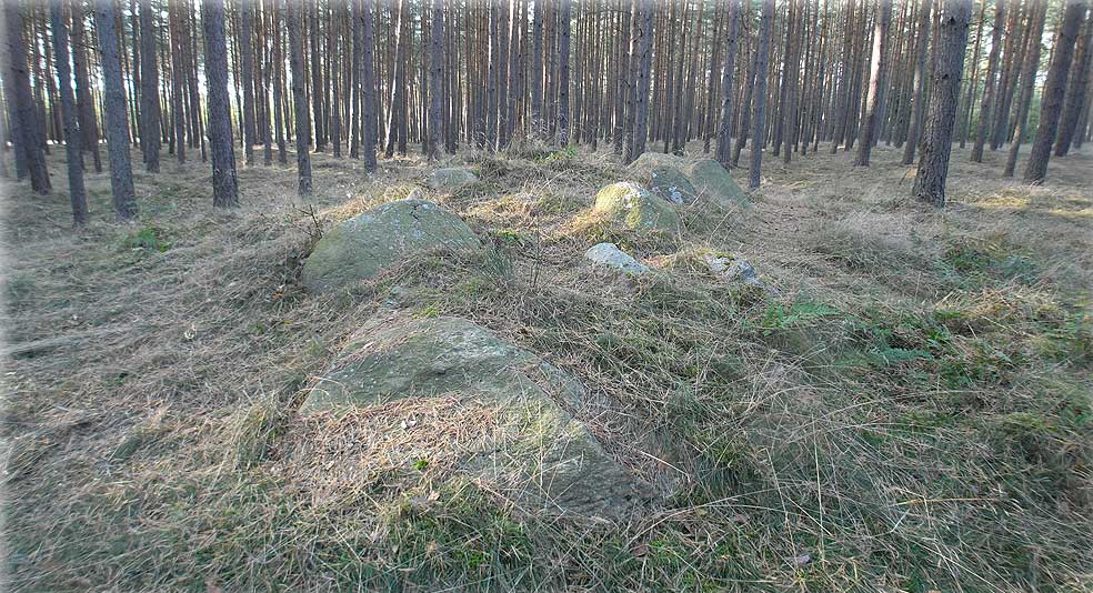 Leetze Steingrab 7, Chambered Tomb in Saxony-Anhalt