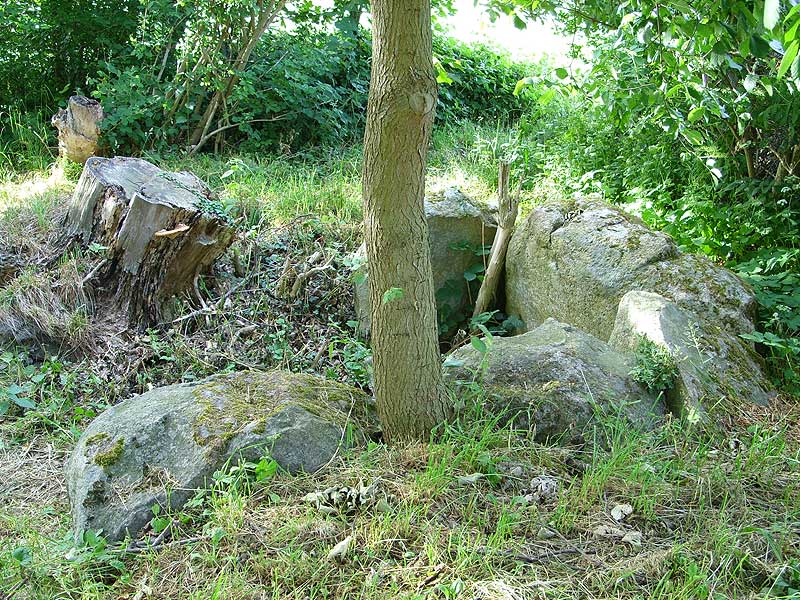 Großsteingrab Lehbek