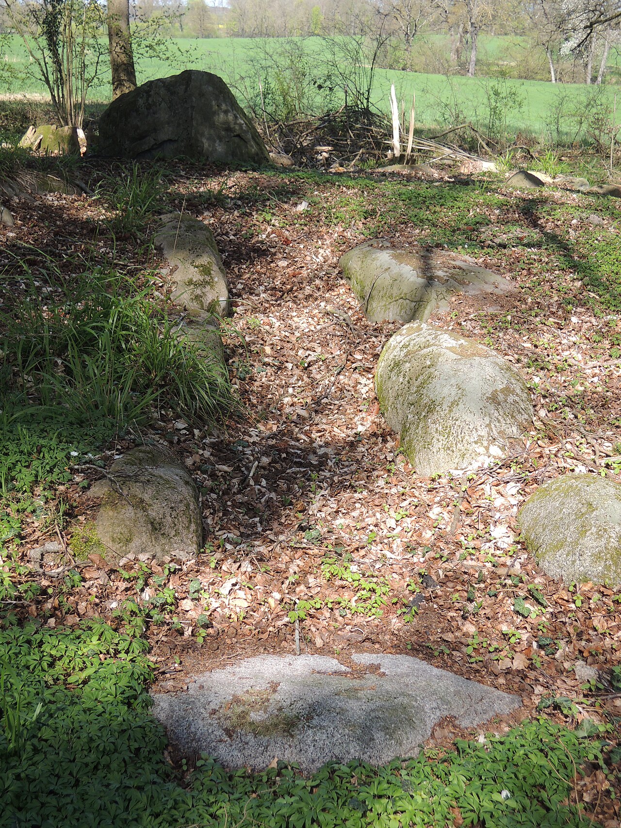 The megalithic tomb Liepen 1