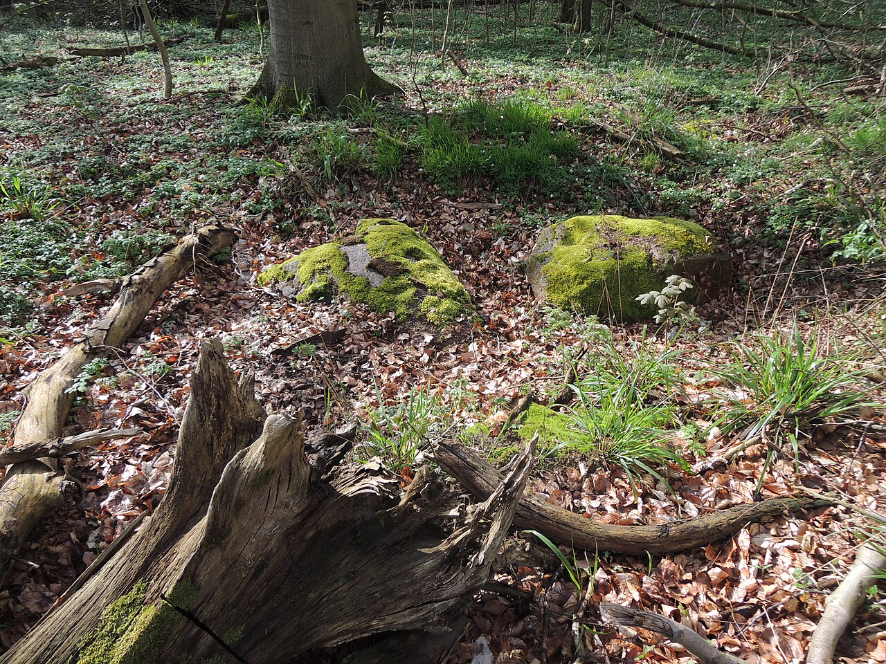 The megalithic tomb Malchin 3 in Germany