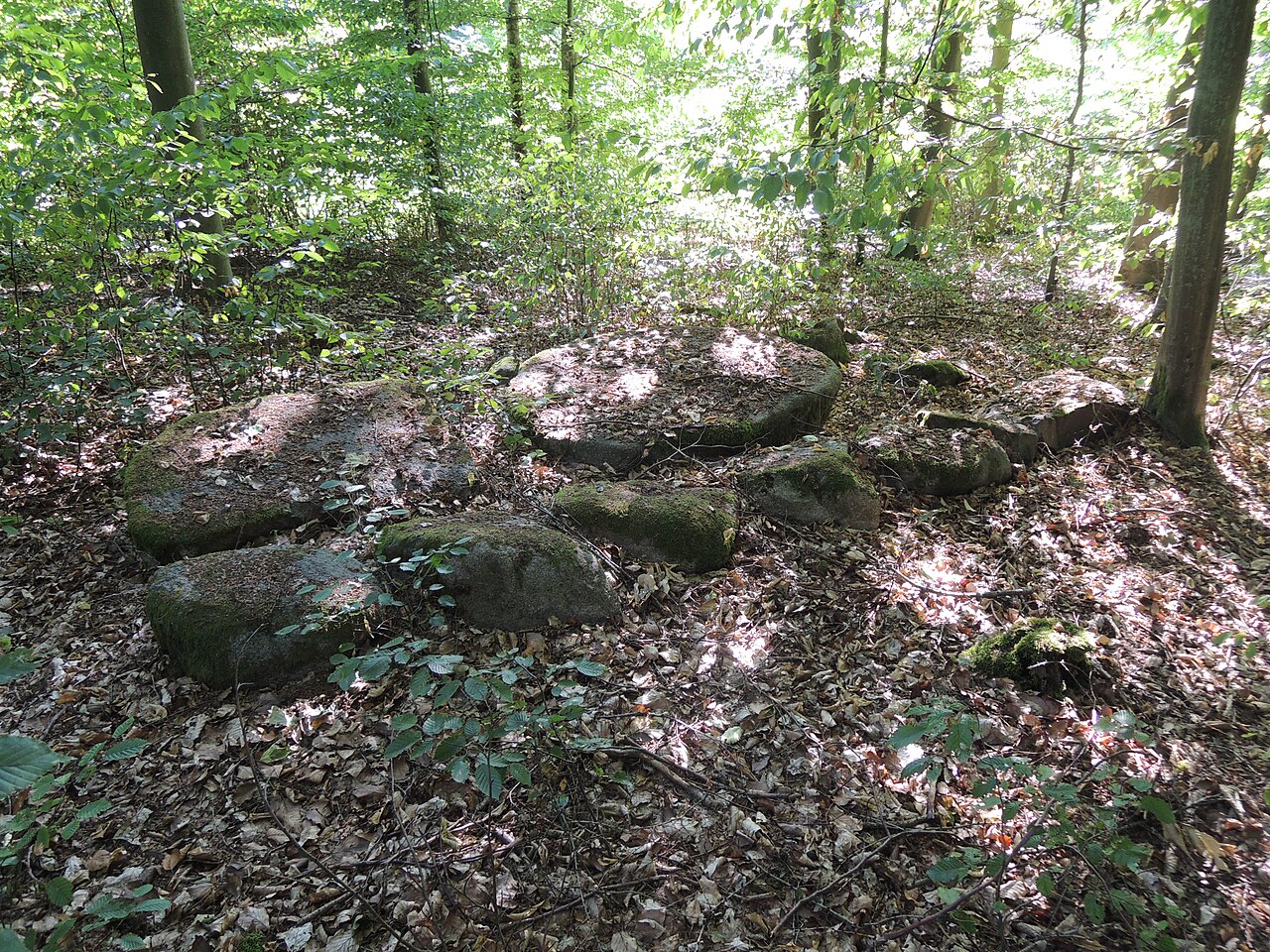 The megalithic tomb Mehlsens Ruh