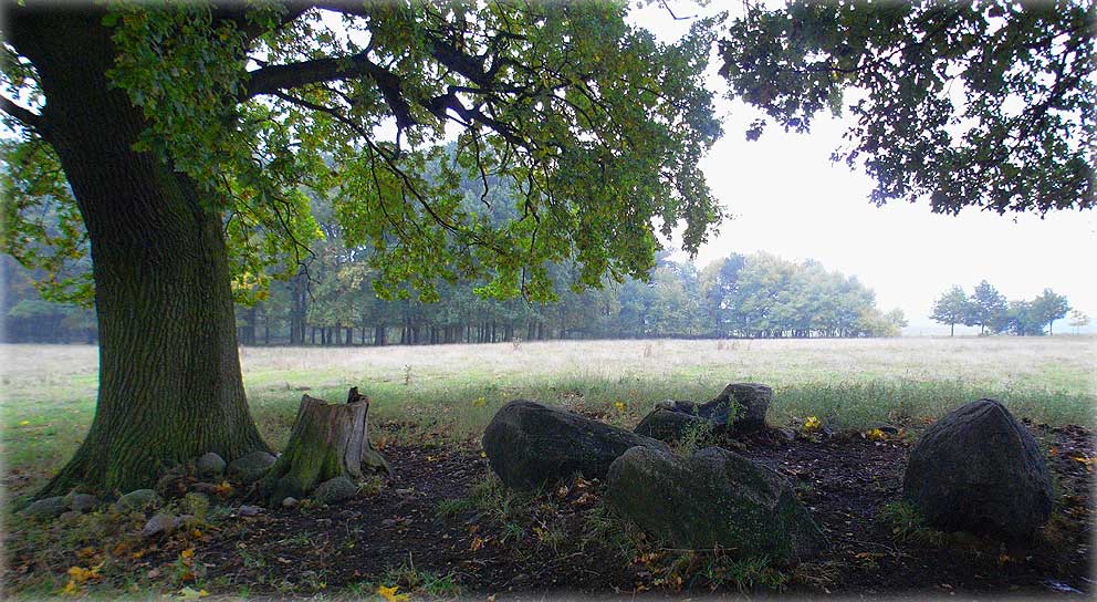 Foto von Großsteingrab Mehmke 3