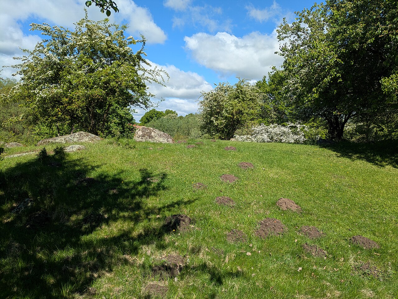 Foto von Großsteingrab Möllenhagen