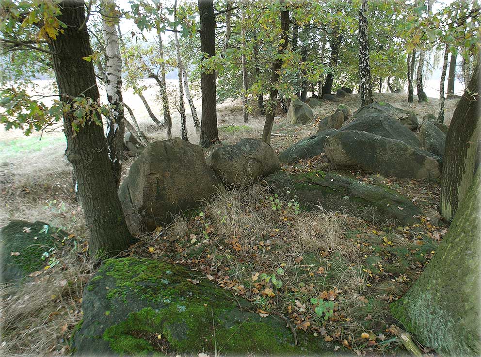 Molmke Steingrab, Chambered Tomb in Saxony-Anhalt 1
