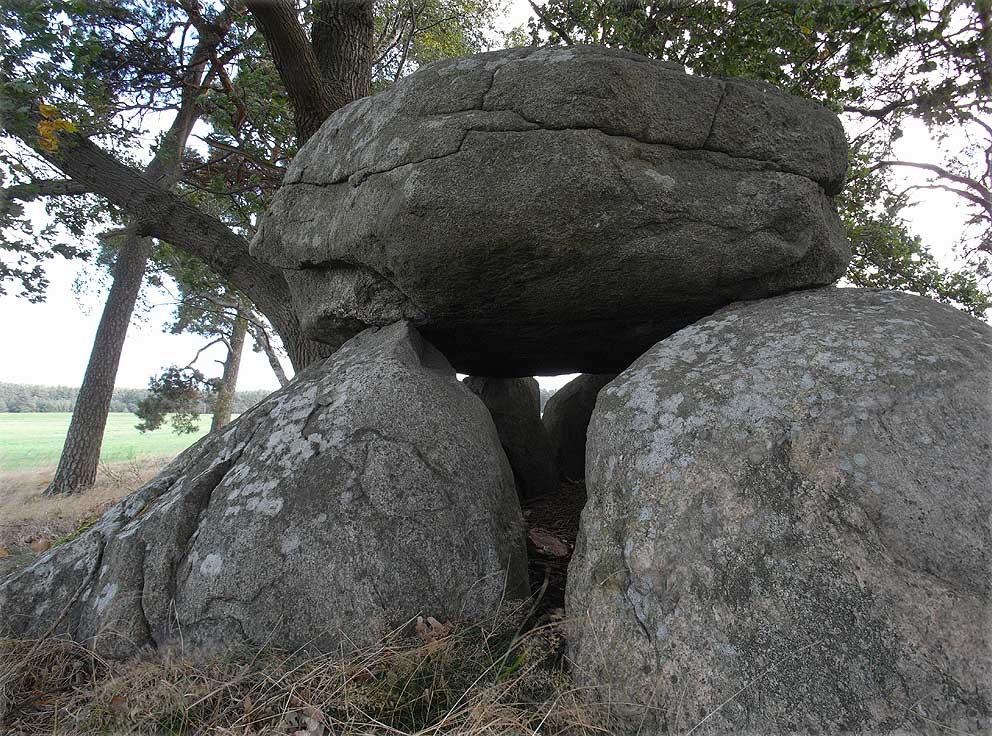 Foto von Großsteingrab Nettgau