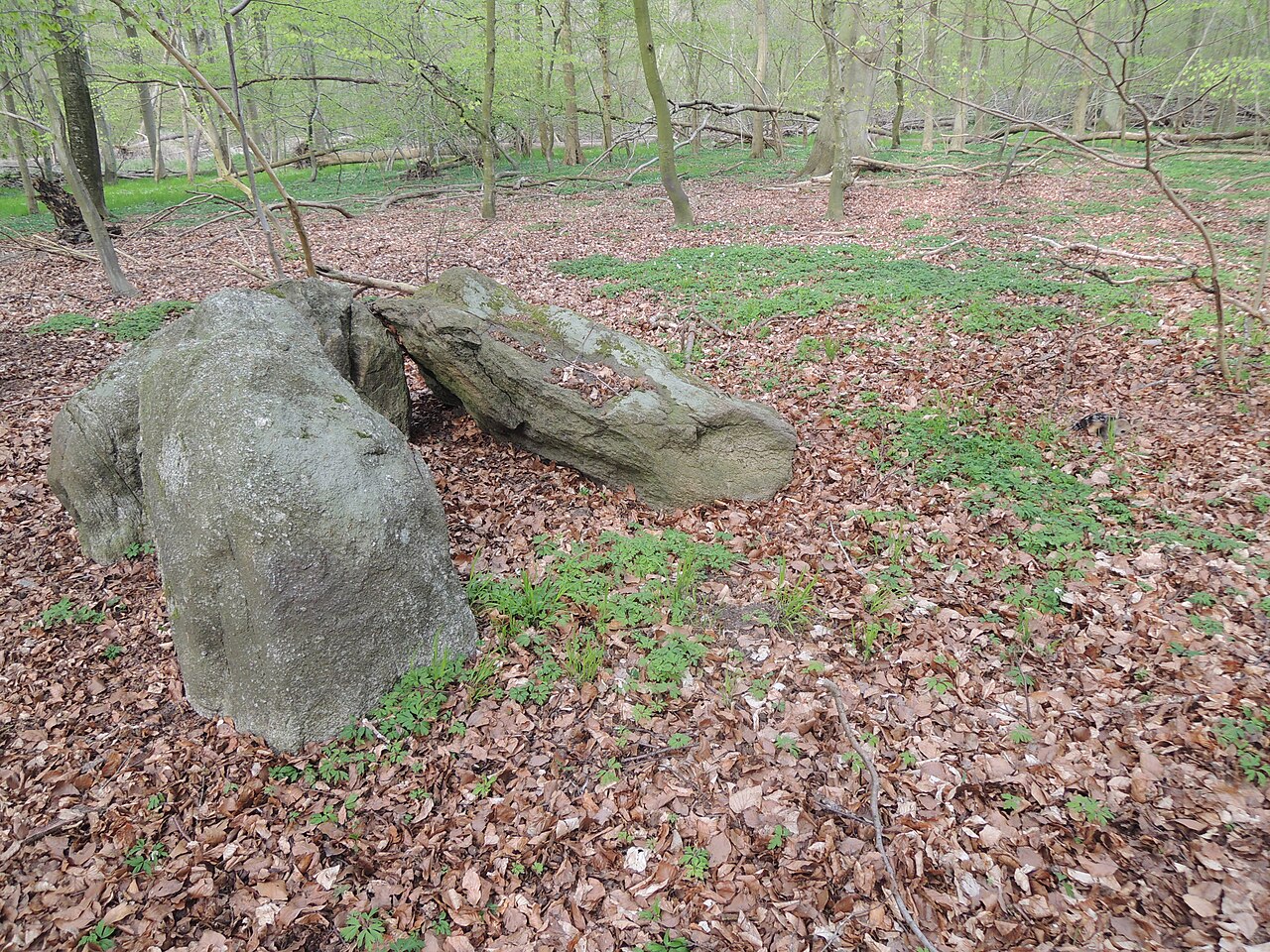 The megalithic tomb Nustrow 2, with roe deer fawn (right)