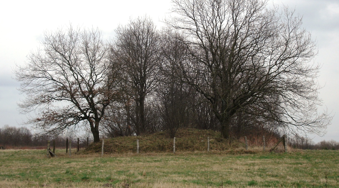 Langbett Langenrehm aus Westen