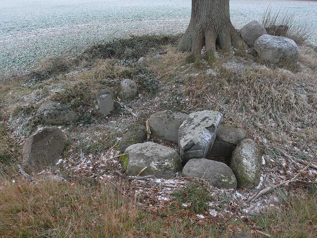 Hünenbett Olpenitz
