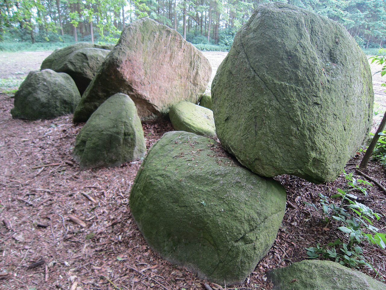 Reckumer Steine bei Reckum (Samtgemeinde Harpstedt, Landkreis Oldenburg, Niedersachsen)