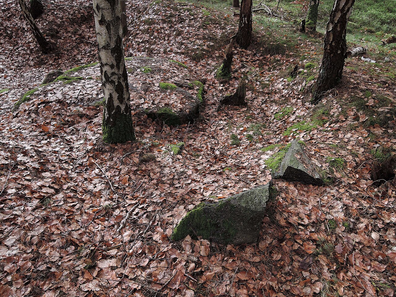 The megalithic tomb Reddereitz 1
