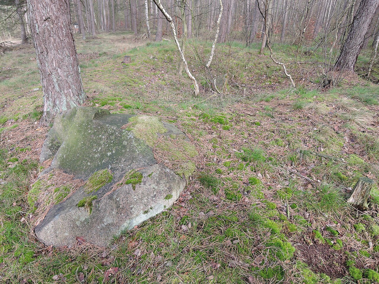 The megalithic tomb Reddereitz 3