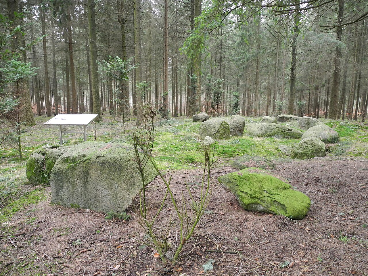 Megalithic tomb "Reinecke" (district Osnabrück in Lower Saxony, Germany)