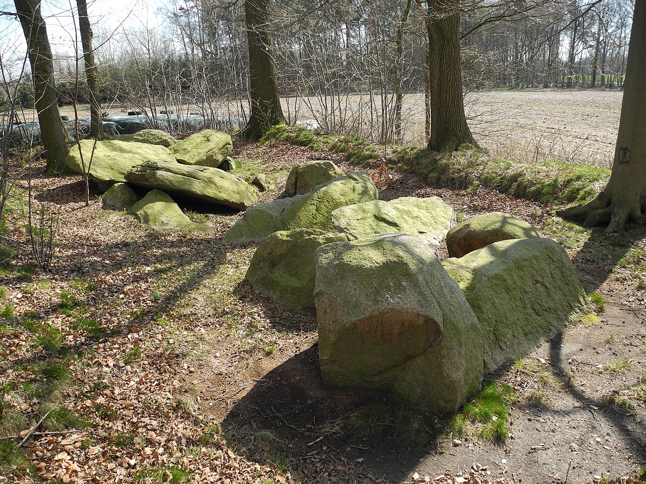 Megalithic grave (district Osnabrück, Lower Saxony)