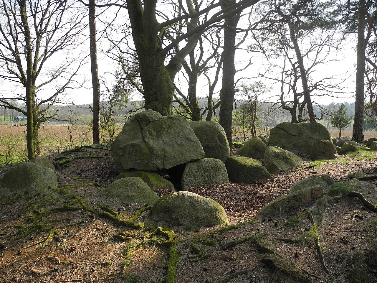 Megalithic tomb "Rickelmann II" (Westerholte, district Osnabrück, Lower Saxony, Germany)