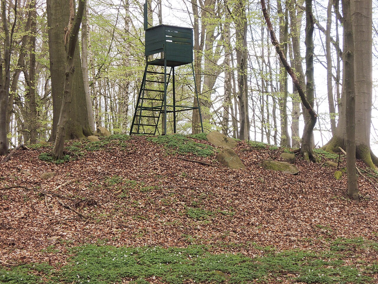 The megalithic tomb Rothenmoor 3