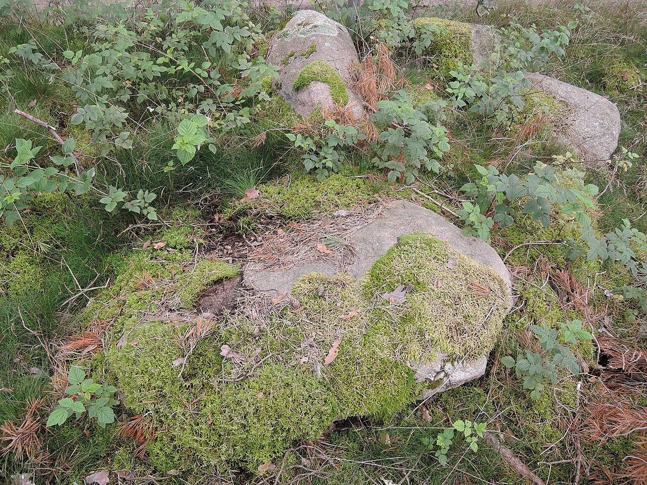 The megalithic tomb Satow 2