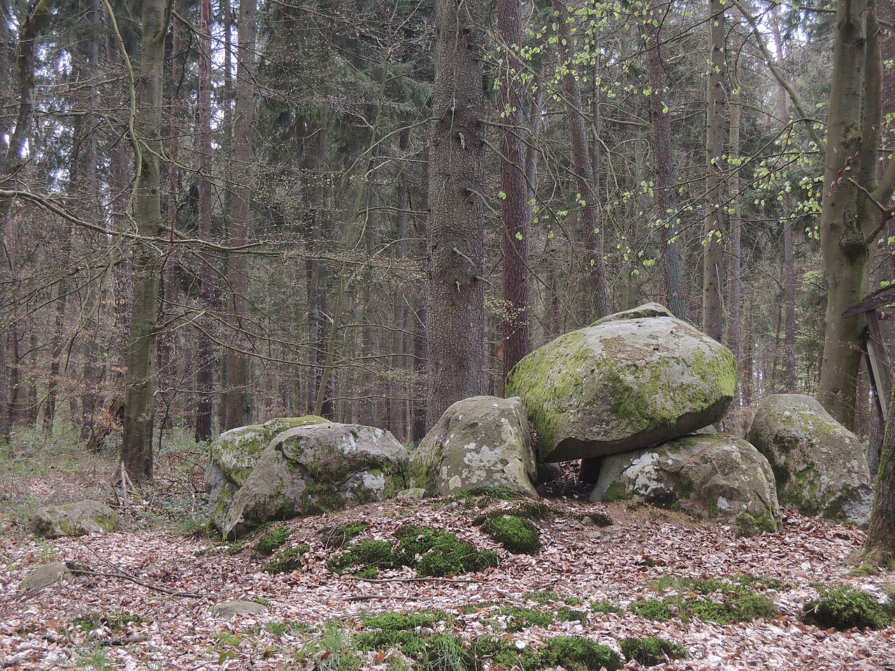 The megalithic tomb Serrahn 2 in Germany