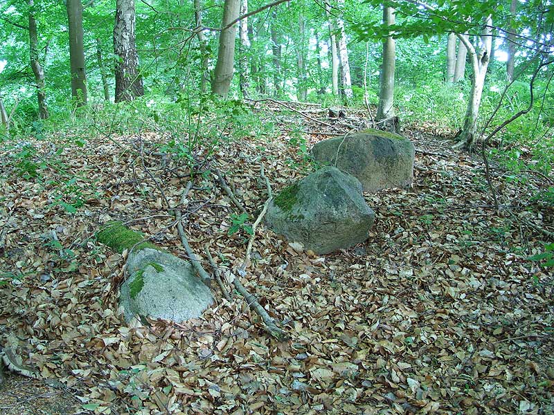 Großsteingrab Siegum
