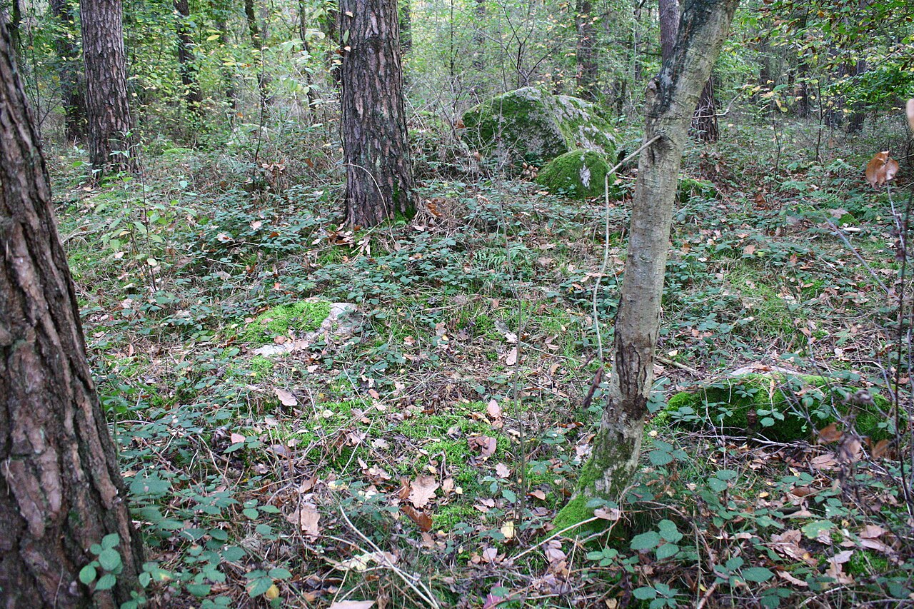 Megalithic tomb Haldensleben II 12-13
