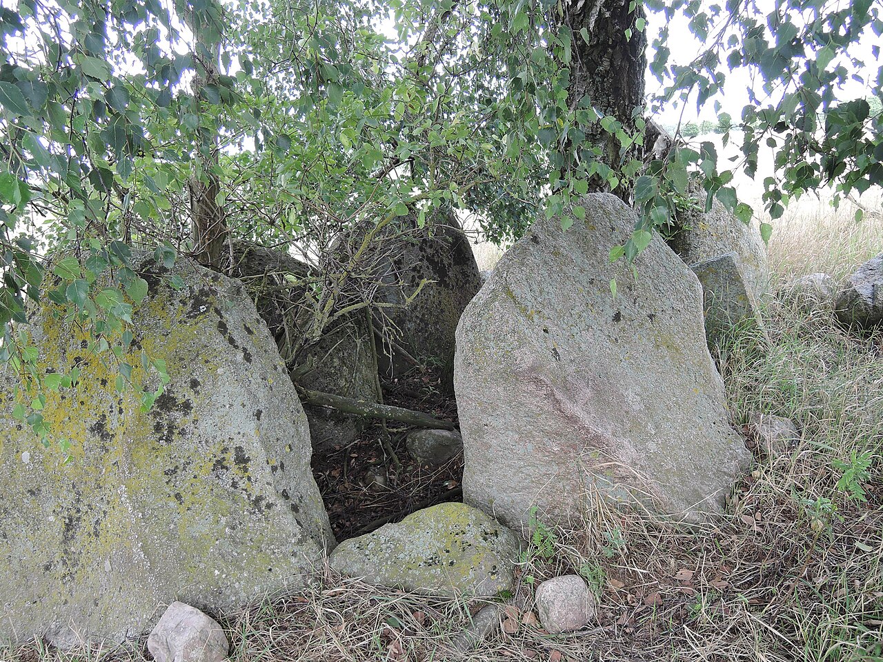 The megalithic tomb Stuer 6