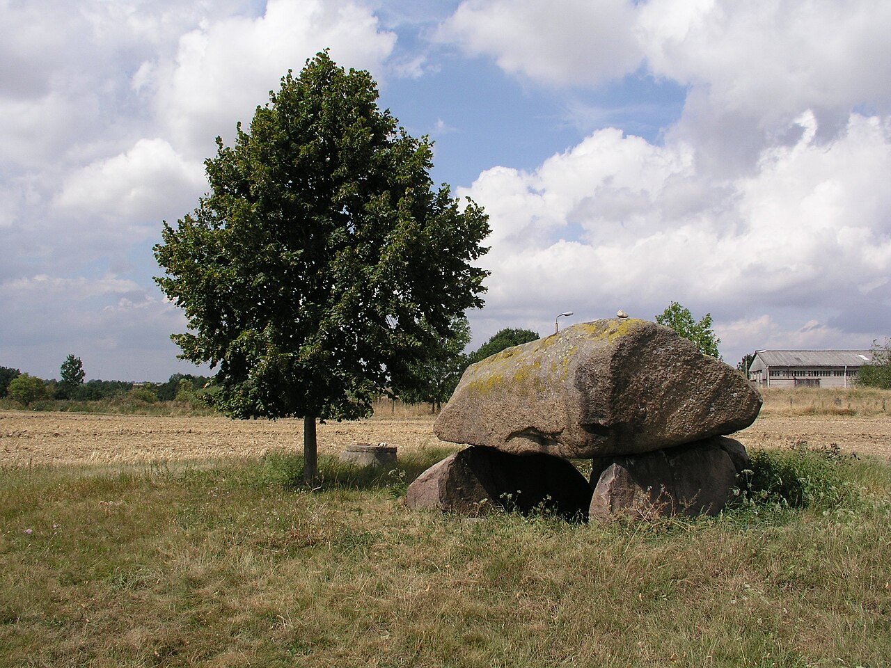 Foto von Großsteingrab Trebenow