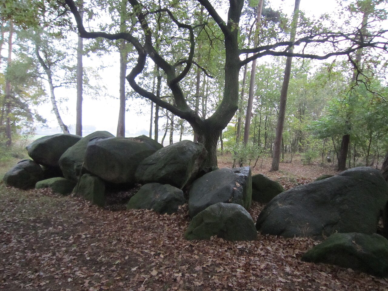 Wiemelsberger Steine - dolmens near Ueffeln (Landkreis Osnabrück, Lower Saxony)