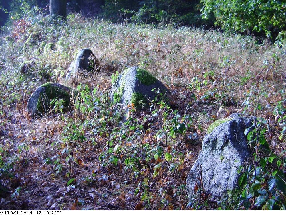 Megalithic tomb Wietzetze 1