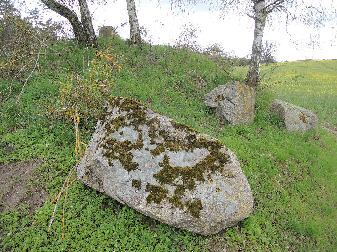 The megalithic tomb Wilsen 1